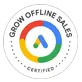 Google Siegel 1